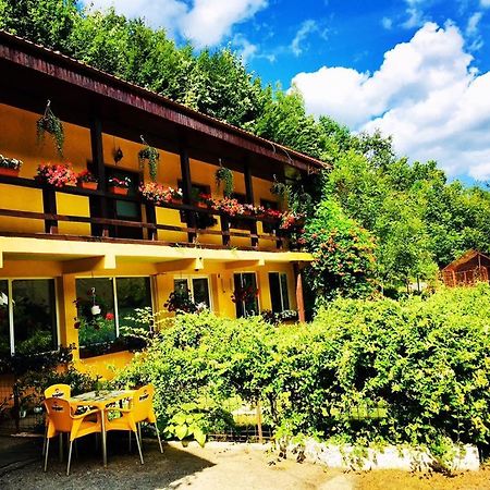 House In The Woods Bed & Breakfast Reșița Dış mekan fotoğraf
