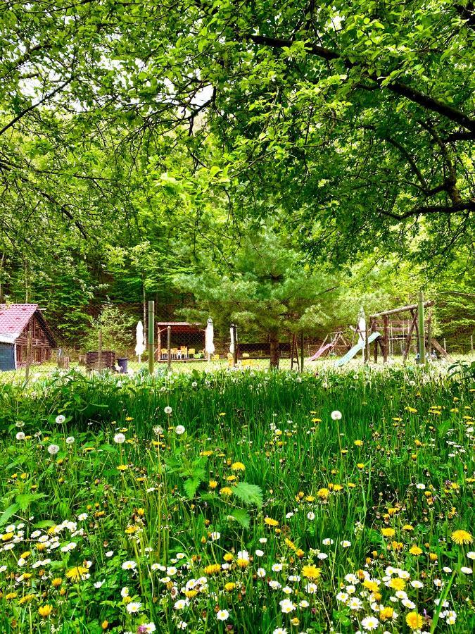 House In The Woods Bed & Breakfast Reșița Dış mekan fotoğraf