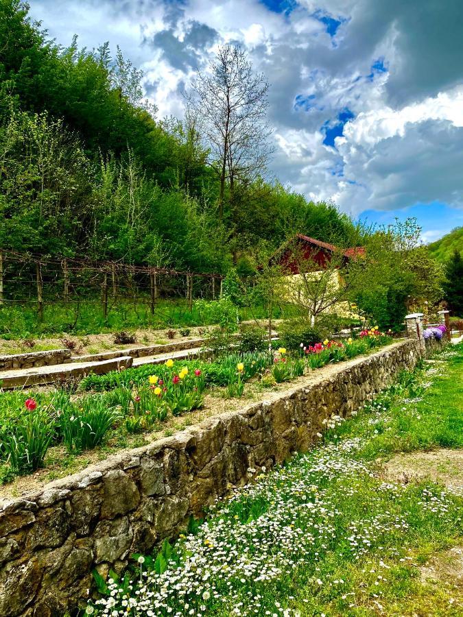 House In The Woods Bed & Breakfast Reșița Dış mekan fotoğraf