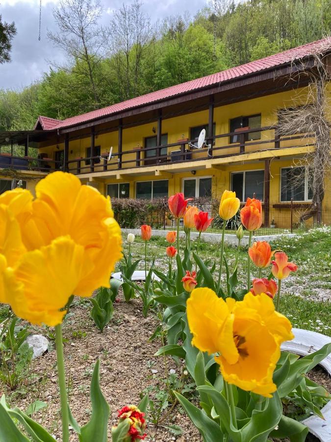 House In The Woods Bed & Breakfast Reșița Dış mekan fotoğraf