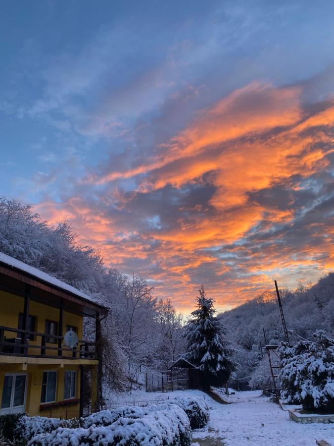 House In The Woods Bed & Breakfast Reșița Dış mekan fotoğraf