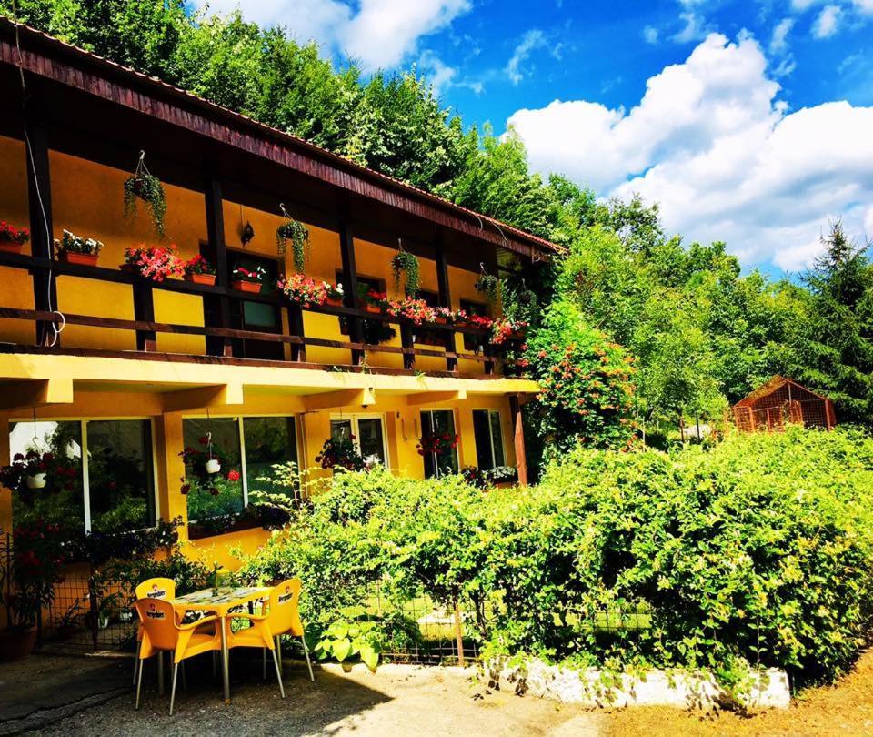 House In The Woods Bed & Breakfast Reșița Dış mekan fotoğraf