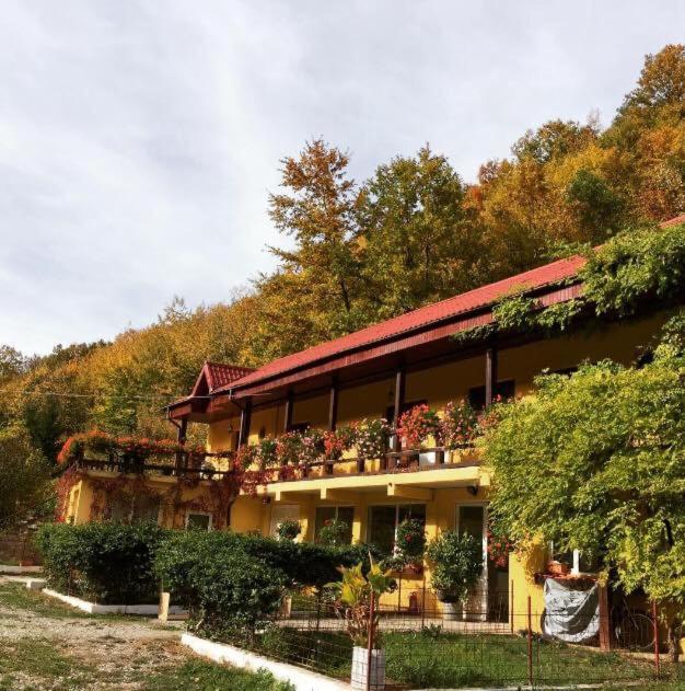 House In The Woods Bed & Breakfast Reșița Dış mekan fotoğraf