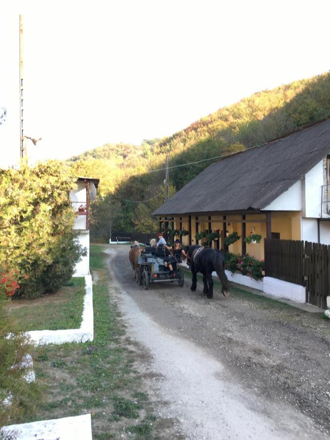 House In The Woods Bed & Breakfast Reșița Dış mekan fotoğraf