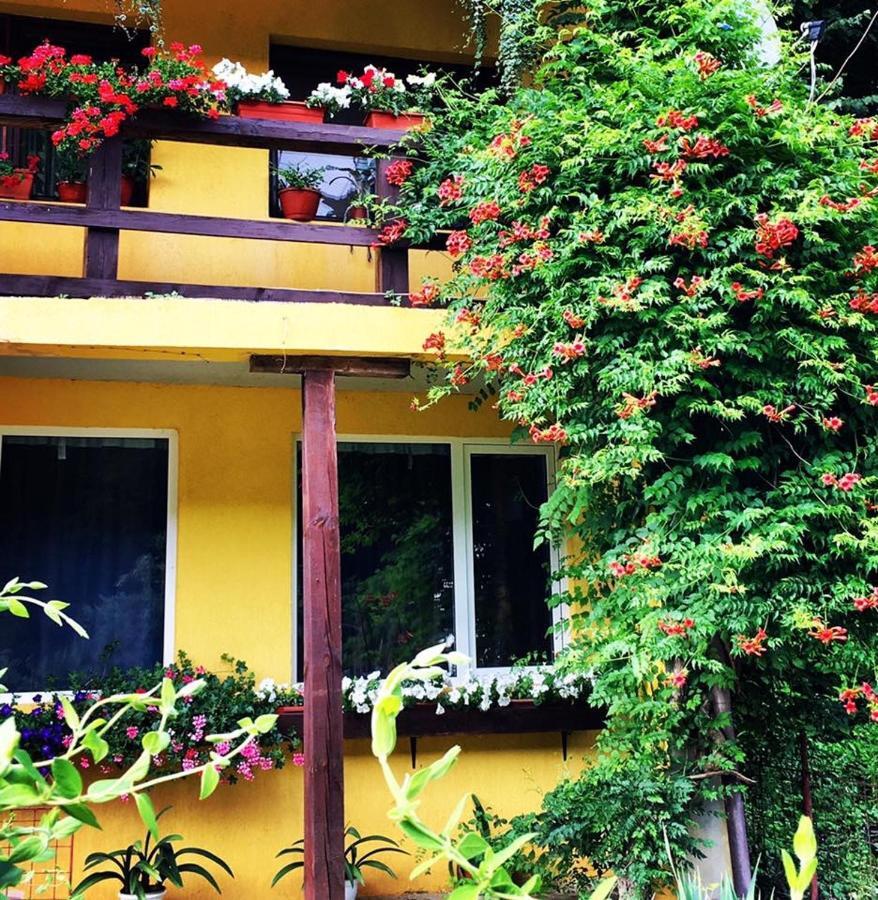 House In The Woods Bed & Breakfast Reșița Dış mekan fotoğraf