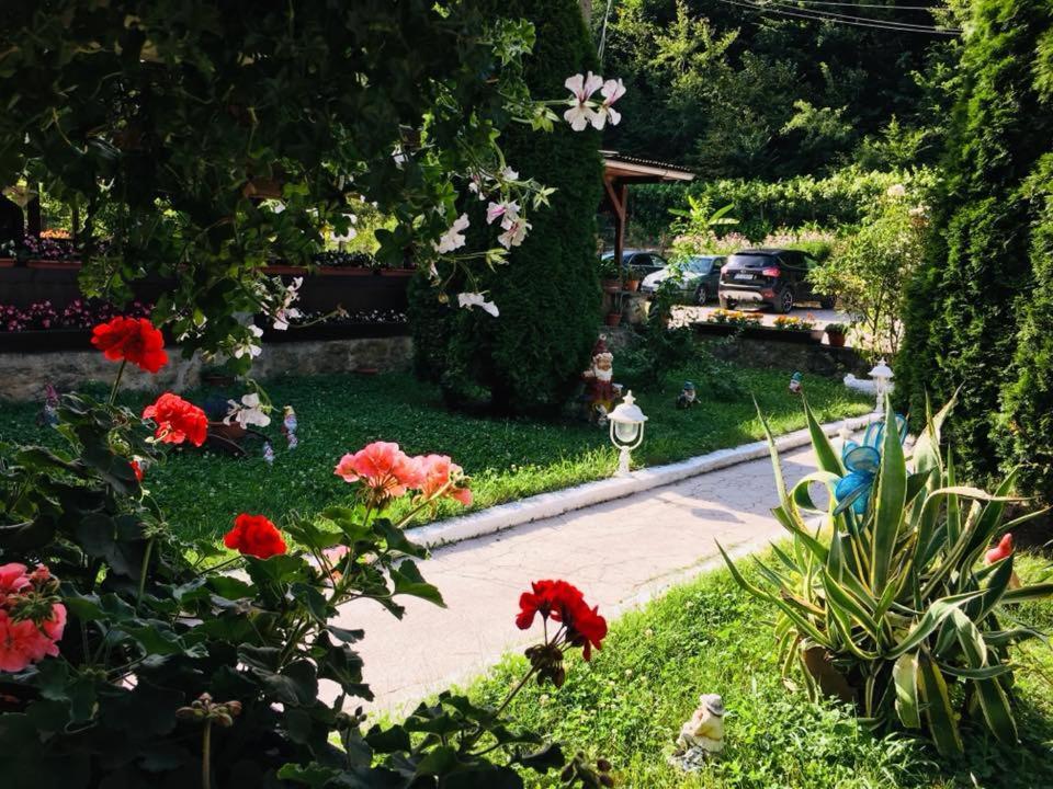 House In The Woods Bed & Breakfast Reșița Dış mekan fotoğraf