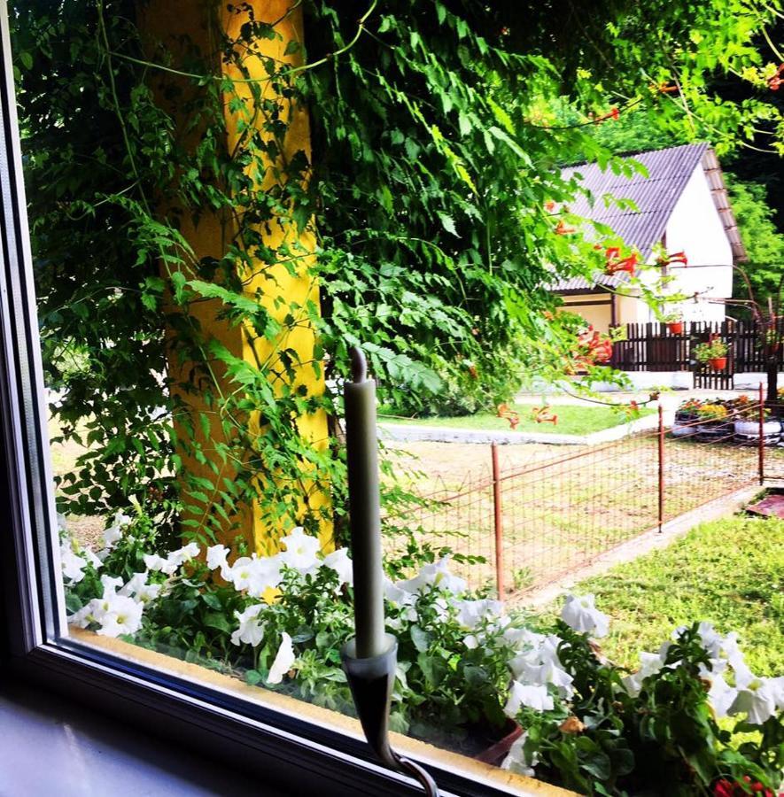House In The Woods Bed & Breakfast Reșița Dış mekan fotoğraf