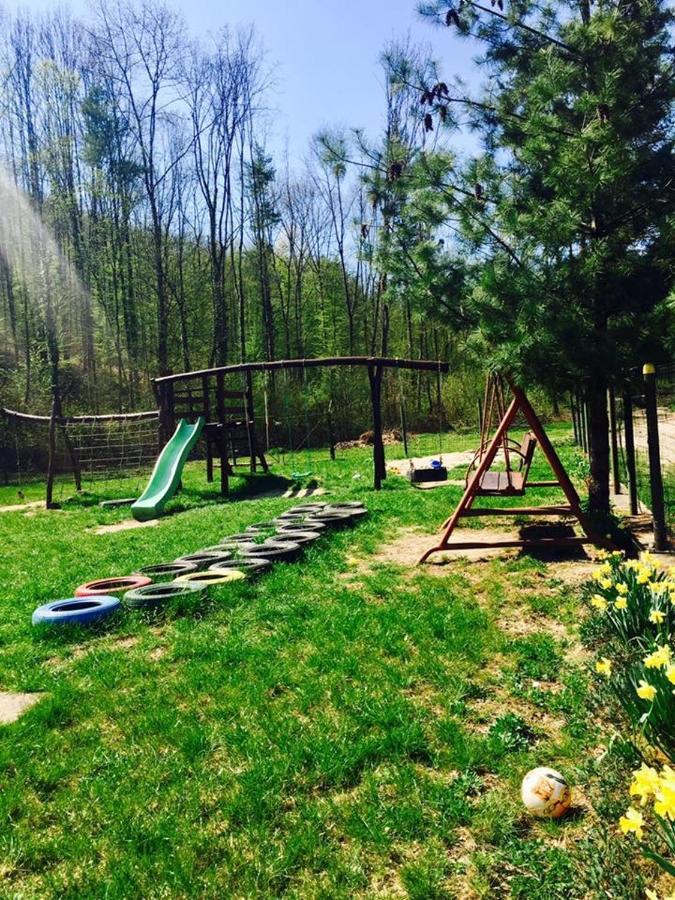 House In The Woods Bed & Breakfast Reșița Dış mekan fotoğraf