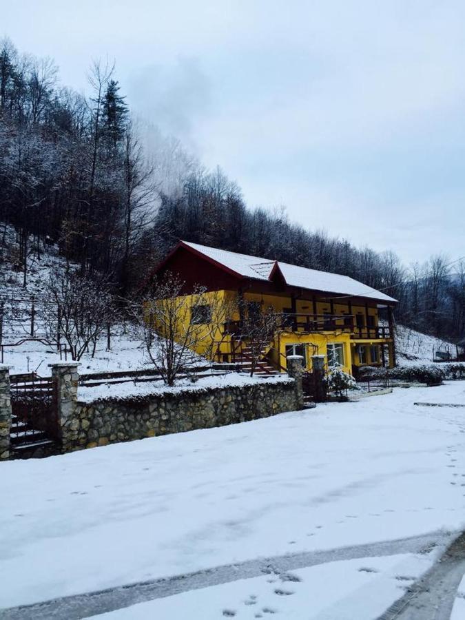 House In The Woods Bed & Breakfast Reșița Dış mekan fotoğraf