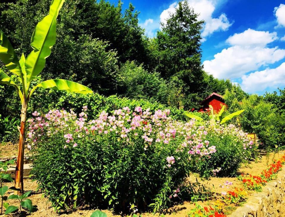 House In The Woods Bed & Breakfast Reșița Dış mekan fotoğraf