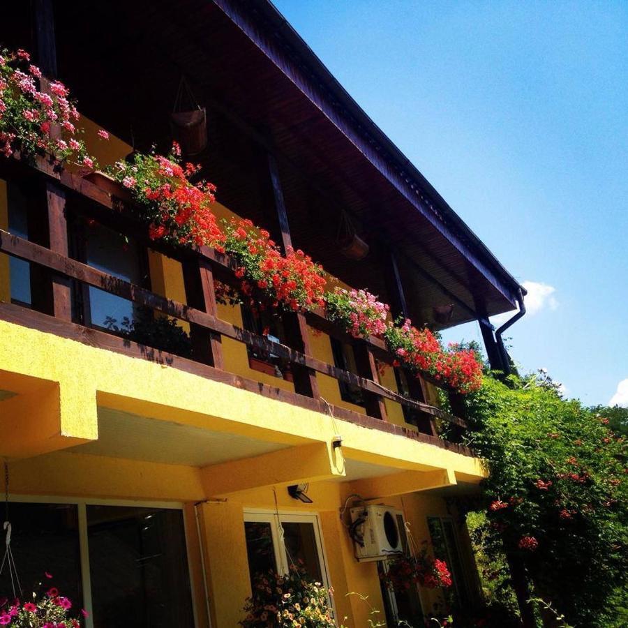 House In The Woods Bed & Breakfast Reșița Dış mekan fotoğraf