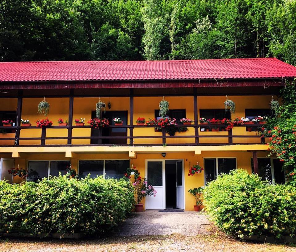 House In The Woods Bed & Breakfast Reșița Dış mekan fotoğraf